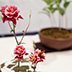Thumbnail Image 1