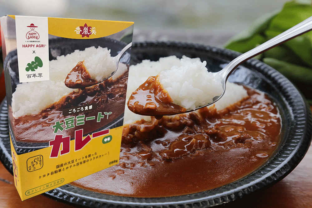 香嵐渓大豆ミートカレー