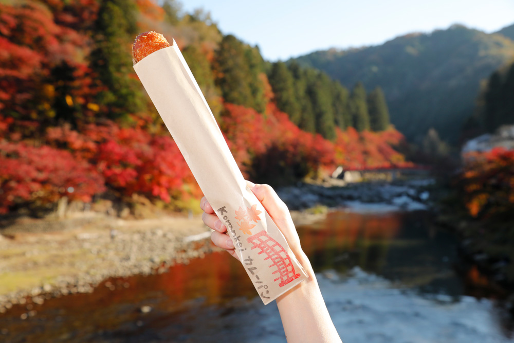 香嵐渓カレーパン