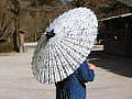 Parasol