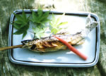Ayu fish