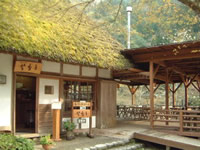 Katakago cafe